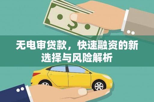 鹿谷无电审贷款，快速融资的新选择与风险解析