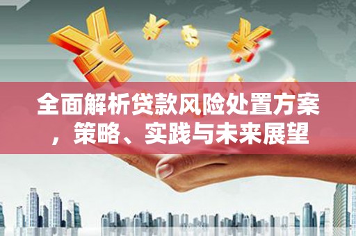 鹿谷全面解析贷款风险处置方案，策略、实践与未来展望