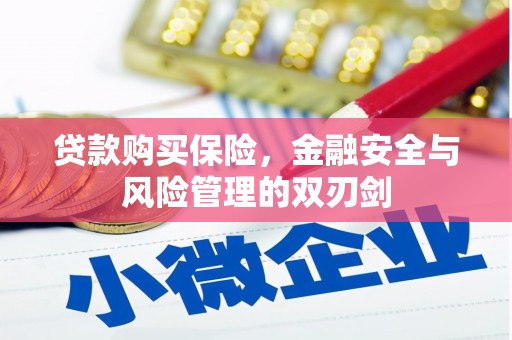 鹿谷贷款购买保险，金融安全与风险管理的双刃剑
