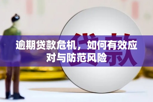 鹿谷逾期贷款危机，如何有效应对与防范风险