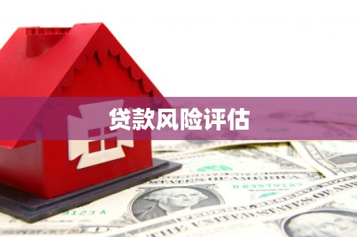 鹿谷贷款风险评估