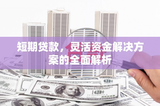 鹿谷短期贷款，灵活资金解决方案的全面解析