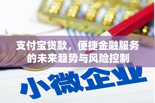 鹿谷支付宝贷款，便捷金融服务的未来趋势与风险控制