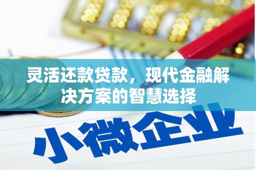 鹿谷灵活还款贷款，现代金融解决方案的智慧选择