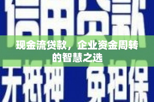 鹿谷现金流贷款，企业资金周转的智慧之选