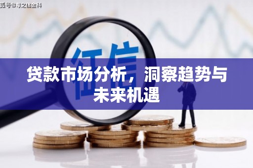 鹿谷贷款市场分析，洞察趋势与未来机遇