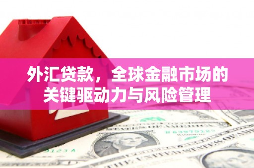鹿谷外汇贷款，全球金融市场的关键驱动力与风险管理