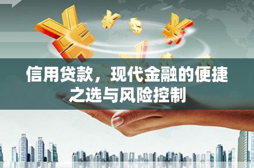 鹿谷信用贷款，现代金融的便捷之选与风险控制
