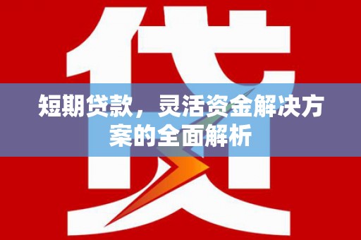 鹿谷短期贷款，灵活资金解决方案的全面解析