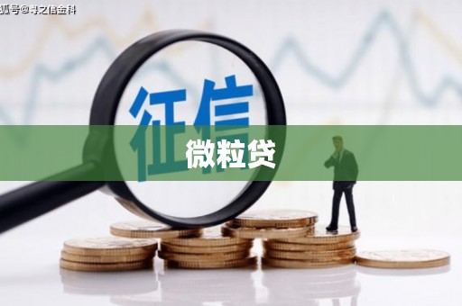 鹿谷微粒贷