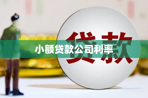 鹿谷小额贷款公司利率