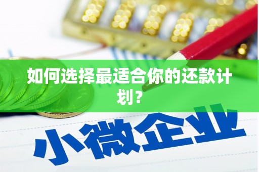鹿谷如何选择最适合你的还款计划？