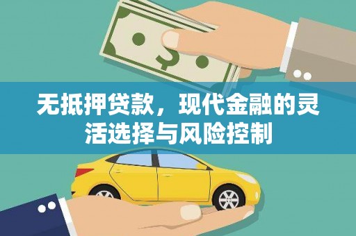 鹿谷无抵押贷款，现代金融的灵活选择与风险控制