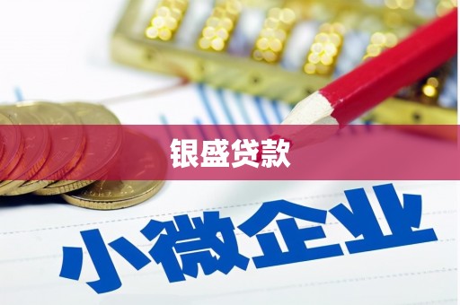 鹿谷银盛贷款