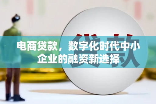 鹿谷电商贷款，数字化时代中小企业的融资新选择