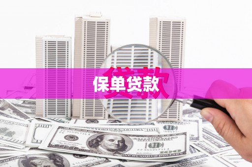 鹿谷保单贷款