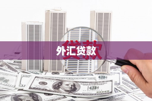 鹿谷外汇贷款