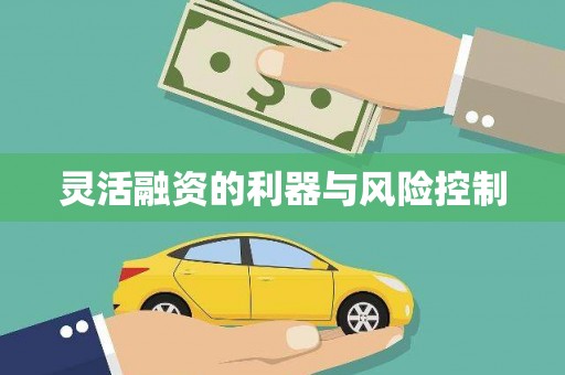 鹿谷灵活融资的利器与风险控制