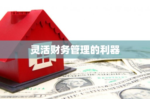 鹿谷灵活财务管理的利器