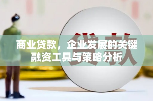 鹿谷商业贷款，企业发展的关键融资工具与策略分析