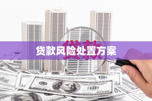 鹿谷贷款风险处置方案