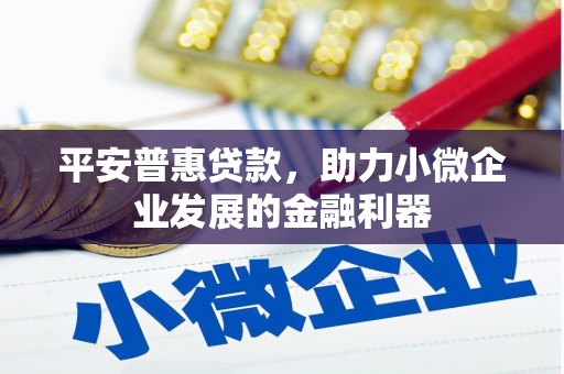 鹿谷平安普惠贷款，助力小微企业发展的金融利器