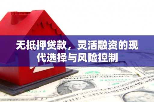 鹿谷无抵押贷款，灵活融资的现代选择与风险控制