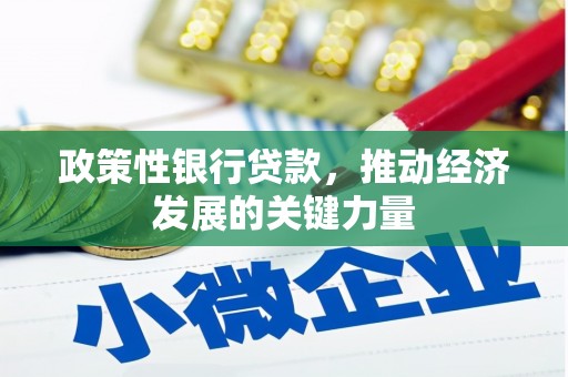 鹿谷政策性银行贷款，推动经济发展的关键力量