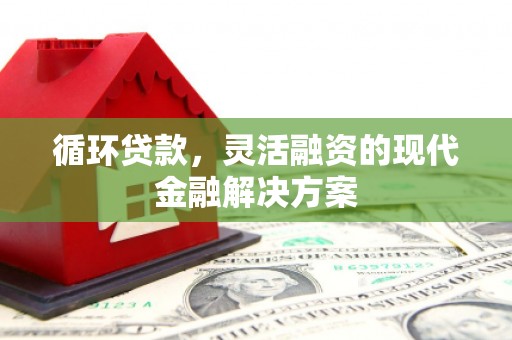 鹿谷循环贷款，灵活融资的现代金融解决方案