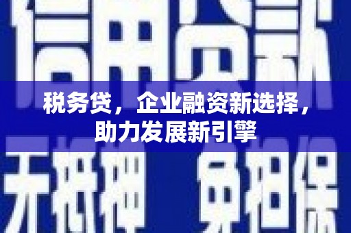鹿谷税务贷，企业融资新选择，助力发展新引擎