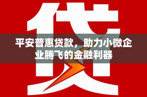 鹿谷平安普惠贷款，助力小微企业腾飞的金融利器