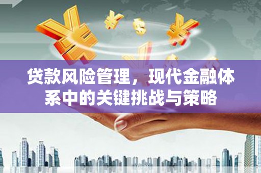 鹿谷贷款风险管理，现代金融体系中的关键挑战与策略