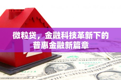 鹿谷微粒贷，金融科技革新下的普惠金融新篇章