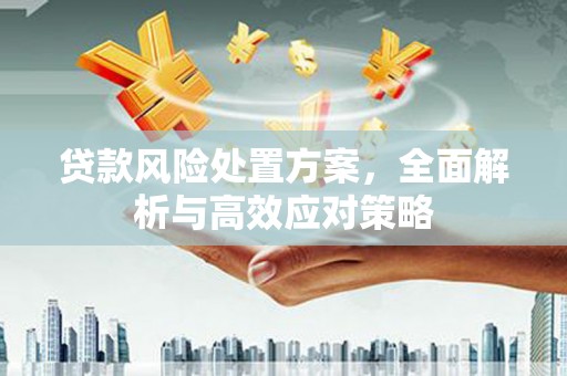 鹿谷贷款风险处置方案，全面解析与高效应对策略