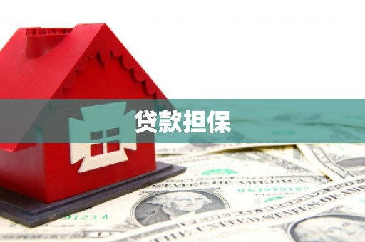 鹿谷贷款担保