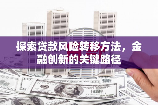 鹿谷探索贷款风险转移方法，金融创新的关键路径