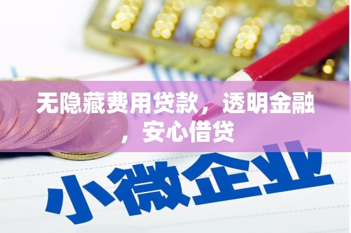 鹿谷无隐藏费用贷款，透明金融，安心借贷