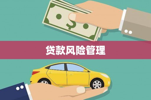 鹿谷贷款风险管理