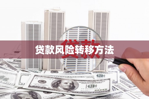 鹿谷贷款风险转移方法