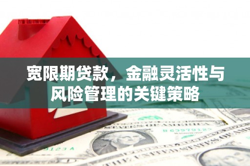 鹿谷宽限期贷款，金融灵活性与风险管理的关键策略