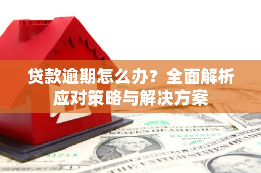 鹿谷贷款逾期怎么办？全面解析应对策略与解决方案
