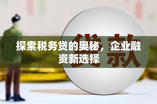鹿谷探索税务贷的奥秘，企业融资新选择