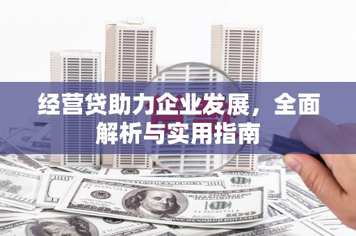 鹿谷经营贷助力企业发展，全面解析与实用指南