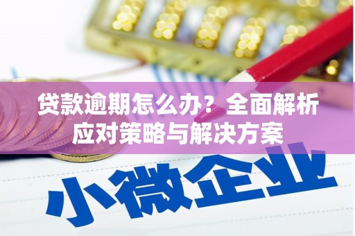 鹿谷贷款逾期怎么办？全面解析应对策略与解决方案