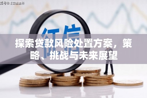 鹿谷探索贷款风险处置方案，策略、挑战与未来展望