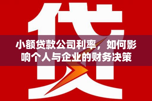 鹿谷小额贷款公司利率，如何影响个人与企业的财务决策