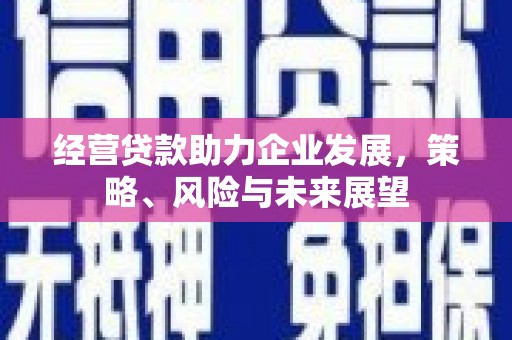 鹿谷经营贷款助力企业发展，策略、风险与未来展望
