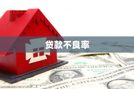 鹿谷贷款不良率