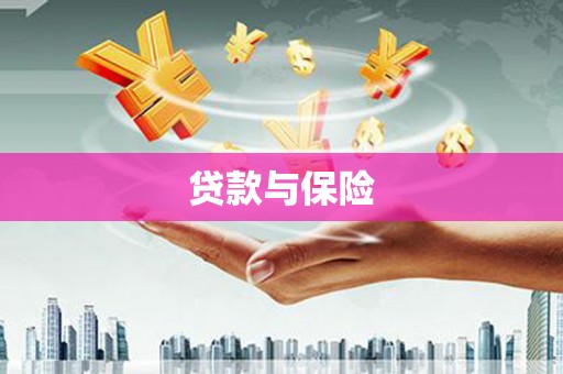 鹿谷贷款与保险