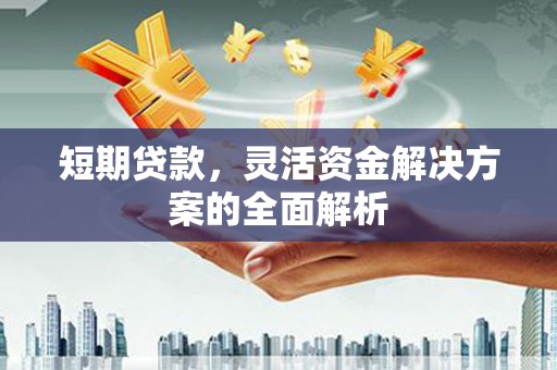 鹿谷短期贷款，灵活资金解决方案的全面解析